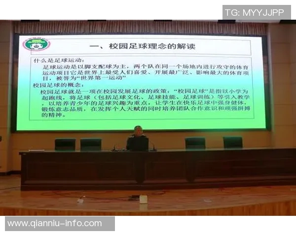 南京足球队团队协作的成功经验与挑战分析探讨 南京足球队团队协作的成功经验与挑战分析探讨