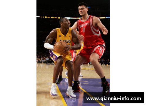NBA球员智商（IQ）大揭秘：影响表现的关键因素